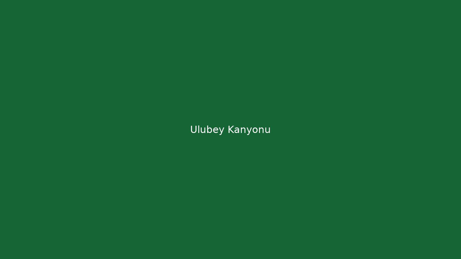 Ulubey